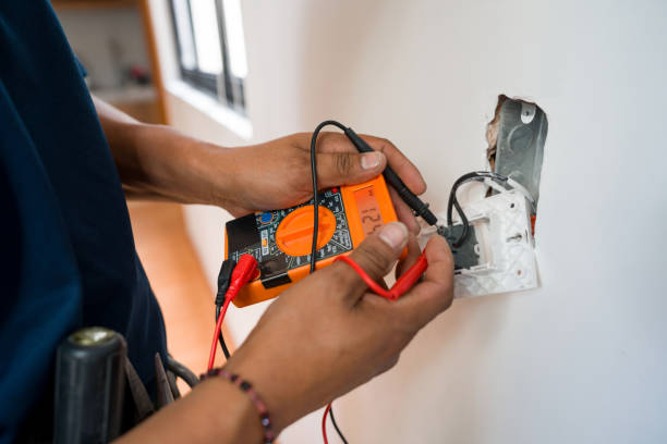 Best Electrical Panel Upgrades  in Thomasboro, IL